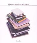 Ler Waltercio Caldas: Depoimento (Volume 36), do autor Waltercio Caldas