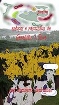 Ler Esboços e rascunhos de Geraldão, o Duca, do autor José Humberto da Silva Henriques