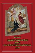 Ler Devoção Ao Sagrado Coração De Jesus: Segundo A Serva De Deus Floripes Dornelas De Jesus, A Lola, do autor Giselle Neves Moreira de Aguiar