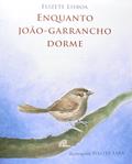 Ler Enquanto João Garrancho dorme - com braile, do autor Elizete Lisboa Ler Enquanto João Garrancho dorme - com braile, do autor Elizete Lisboa