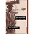 Ler Andarilhos da Imaginação: um Estudo Sobre os Loucos de rua, do autor Flávio Carvalho Ferraz