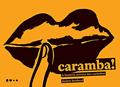 Ler Caramba!: A história secreta dos carimbos, do autor Andrés Sandoval
