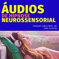 Ler ÁUDIOS DE AUTO-HIPNOSE NEUROSSENSORIAL, do autor Prof. Dr. João Oliveira