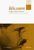 Ler Imagens de pensamento - Sobre o haxixe e outras drogas, do autor Walter Benjamin
