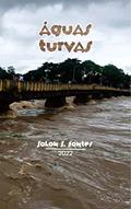 Ler Aguas Turvas, do autor Solon Fontes