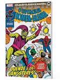 Ler Coleção Clássica Marvel Vol.36 - Homem-Aranha Vol.06, do autor Stan Lee