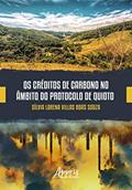 Ler Os créditos de carbono no âmbito do protocolo de Quioto, do autor Sílvia Lorena Villas Boas Souza