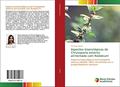 Ler Aspectos bioecológicos de Chrysoperla externa alimentada com Rodobium: Aspectos bioecológicos de Chrysoperla externa (HAGEN, 1861) alimentada com o pulgão Rodobium porosum, do autor Fernanda Abreu