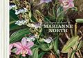 Ler A viagem ao Brasil de Marianne North, do autor Julio Bandeira