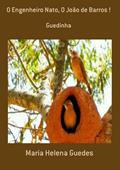 Ler O Engenheiro Nato, o Joao de Barros !, do autor Maria Helena Guedes