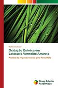 Ler Oxidação Química em Latossolo Vermelho Amarelo: Análise do impacto no solo pelo Persulfato, do autor Maitê Lima Bossi