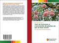 Ler Teor de nutriente e crescimento de plantas de ipê na fase inicial: Em Latossolo amarelo distrófico, do autor Adalberto Alves da Silva Ler Teor de nutriente e crescimento de plantas de ipê na fase inicial: Em Latossolo amarelo distrófico, do autor Adalberto Alves da Silva