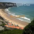 Ler Algarve, do autor Pedro Miguel Cruz