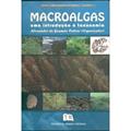 Ler Macroalgas. Uma Introdução À Taxonomia, do autor Alexandre de Gusmao Pedrini