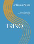 Ler TRINO: Porque somos feitos imagem e semelhança de Deus (Portuguese Edition), do autor Antonino Gomes Paixão