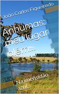Ler Anhumas: meu lugar além...: Na imensidão azul..., do autor João Carlos Figueiredo