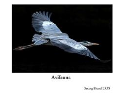 Avifauna, do autor Sarang Bhand LRPS