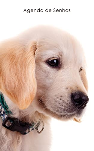 Ler Agenda de Senhas: Agenda para endereços eletrônicos e senhas: Capa cachorrinho Golden Retriever - Português (Brasil), do autor Agendas E Cadernos