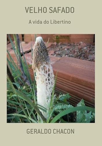 Ler Velho Safado, do autor Geraldo Chacon