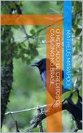 Ler O MERCADO DE CRÉDITOS DE CARBONO NO BRASIL, do autor MATHEUS MARAPODI