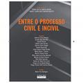 Ler ENTRE O PROCESSO CIVIL E INCIVIL, do autor SERGIO LUIZ DE ALMEIDA RIBEIRO