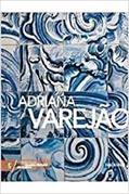 Ler Grandes Pintores Br - Adriana Varejao, do autor Vários Autores