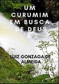 Ler UM CURUMIM EM BUSCA DE DEUS, do autor LUIZ DE ALMEIDA; LUIZ ALMEIDA