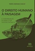 Ler O direito humano à paisagem e a maximização do bem-estar socioeconômico, do autor Pedro Andrade Coelho