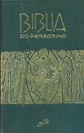 Ler Bíblia do Peregrino, do autor Paulus Editora Ler Bíblia do Peregrino, do autor Paulus Editora