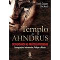 Ler Templo de Ahndrus, do autor Danilo Coppini