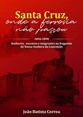 Ler SANTA CRUZ, ONDE A FERROVIA NÃO PASSOU: SENHORES, ESCRAVOS E IMIGRANTES NA FREGUESIA DE NOSSA SENHORA DA CONCEIÇÃO. 1836-1898, do autor Joao Correa