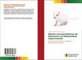 Ler Efeitos neuroprotetores do Edaravone na hidrocefalia experimental: Em ratos jovens Wistar induzidos a hidrocefalia via caulim, do autor Camila Araújo Bernardino Garcia