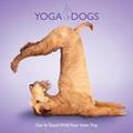 Ler Yoga Dogs by Daniel Borris (2011-04-01), do autor Dan Borris Ler Yoga Dogs by Daniel Borris (2011-04-01), do autor Dan Borris