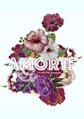 Ler Amorte: Coletânea de poemas, do autor Guilherme Bernardes