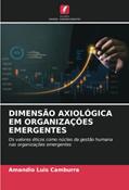 Ler DIMENSÃO AXIOLÓGICA EM ORGANIZAÇÕES EMERGENTES: Os valores éticos como núcleo da gestão humana nas organizações emergentes, do autor Amandio Luis Camburra