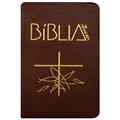 Ler Bíblia de Aparecida - Bolso zíper marrom, do autor Editora Santuário Ler Bíblia de Aparecida - Bolso zíper marrom, do autor Editora Santuário