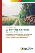 Ler Co-combustão de biomassa com carvão mineral: Avaliação do comportamento do bagaço de cana-de-açúcar e eucalipto com carvão mineral em processos de fluidização, do autor Angenor Geovani Auler