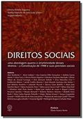 Ler Direitos Sociais. Uma Abordagem Quanto à (In)Efetividade Desses Direitos. A Constituição de 1988 e Suas Previsões Sociais, do autor Dirceu Pereira Siqueira