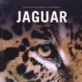 Ler Jaguar, o Rei das Américas, do autor Evaristo Eduardo de Miranda; Liana John