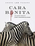 Ler Cara Bonita: O suicídio de um garoto de programa homossexual. (Clássicos Gay), do autor Andre Lax Padare