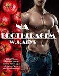 Ler Na Brotheragem, do autor W. S.ARYS
