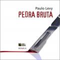 Ler Pedra bruta, do autor Paulo Levy