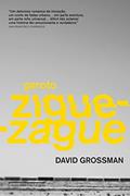 Ler Garoto zigue-zague, do autor David Grossman