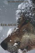 Ler Avalanche (Portuguese Edition), do autor Willian von Sohsten