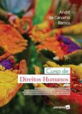 Ler Curso De Direitos Humanos - 8ª Edição 2021, do autor Andre De Carvalho Ramos