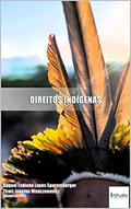 Ler DIREITOS INDÍGENAS (Direitos para todos Livro 3), do autor Raquel Fabiana Sparemberger; Thaís Janaína Wenczenovicz Ler DIREITOS INDÍGENAS (Direitos para todos Livro 3), do autor Raquel Fabiana Sparemberger; Thaís Janaína Wenczenovicz