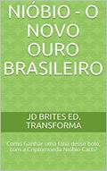 Ler O ouro branco do Brasil : NIÓBIO - Como Ganhar uma fatia desse bolo? (Nióbio Cach Livro 1), do autor JD Brites Ed. Promova