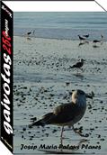 Ler Gaivotas (250 imagens), do autor JOSEP MARIA PALAUS PLANES Ler Gaivotas (250 imagens), do autor JOSEP MARIA PALAUS PLANES
