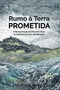 Ler Rumo a Terra Prometida: A Peregrinação do Povo de Deus no Deserto no Livro de Números, do autor Reynaldo Odilo Ler Rumo a Terra Prometida: A Peregrinação do Povo de Deus no Deserto no Livro de Números, do autor Reynaldo Odilo