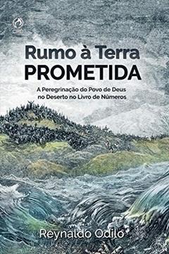 Rumo a Terra Prometida: A Peregrinação do Povo de Deus no Deserto no Livro de Números, do autor Reynaldo Odilo